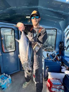 More Tuna fishing in SF!
