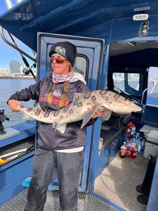 Fish On!