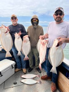 Catch of 6 California Flounder in Sacramento
