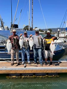 5 California Flounder, 22-inch fish caught in Sacramento