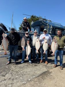 Successful California flounder fishing trip in Sacramento CA with six large flatfish displayed