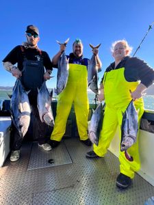 Six blasted fish caught during a fishing trip in CA