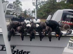 Outer Banks Waterfowl Expedition