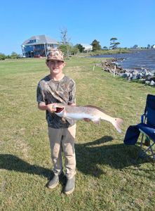 Anglers catching big fish in Manteo
