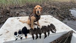 Exciting fishing adventure in NC