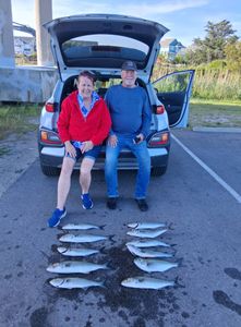 4 big fish caught while fishing and hunting in Manteo