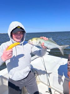 A bluefish measuring 16 inches caught while fishing in NC