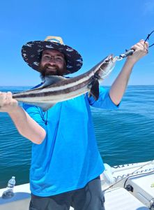 Cobia fishing in North Carolina