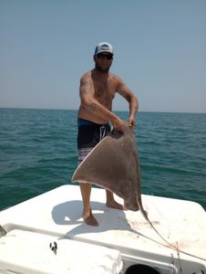 Angler with a common eagle ray, 33 inches, in Manteo