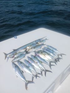 Adventure Awaits: Outer Banks Fishing