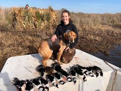 Outer Banks Waterfowl Pursuit