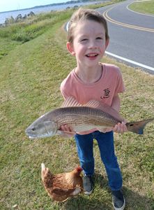 Redfish caught in NC