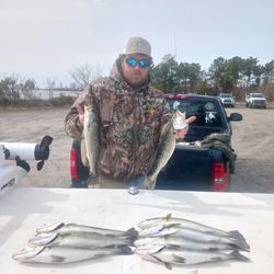 Three spotted weakfish caught in Manteo