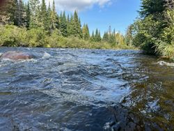 Tracking and Triumph in Maine's Wild