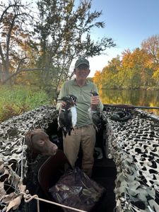 Maine's Forests: A Hunter's Dream