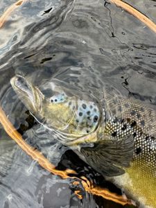 Best fishing adventure in ME