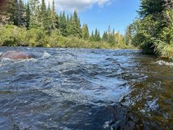 Idyllic fishing scene in Maine's serene landscape