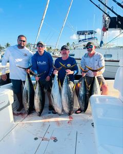 Two Blackfin Tuna, 23-inch fish, caught while fishing in West Bay