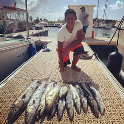 3 big fish caught while fishing in West Bay