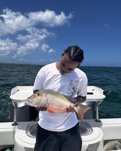 Mutton snapper fish caught by angler in West Bay