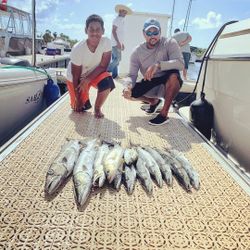 Three big fish caught by two people in West Bay