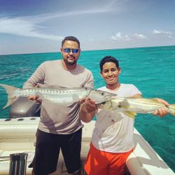 Two great barracuda, 30-inch fish, fishing in West Bay