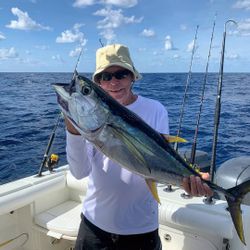Yellowfin tuna, a big fish caught while fishing in West Bay