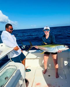 Yellowfin tuna fishing in West Bay
