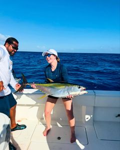 Yellowfin tuna fishing in West Bay