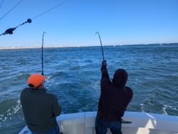Double hookup action on the striper grounds.