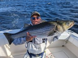 Massive Striped Bass Caught: New Jersey Fishing!