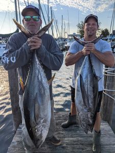 2 Atlantic Bonito and King Mackerel fish caught in Forked River during cruises and fishing activities