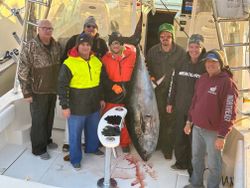 A Blackfin Tuna, a large saltwater fish, being caught in New Jersey