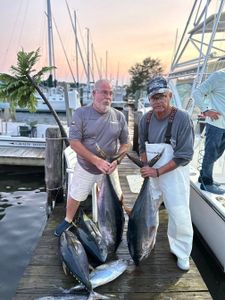 Two blue marlin, 21-inch fish, caught in NJ during cruises and fishing