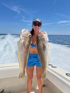 Two bluefish, 26 inches each, caught while fishing in NJ