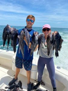 4 fish caught on cruises and fishing trip in NJ