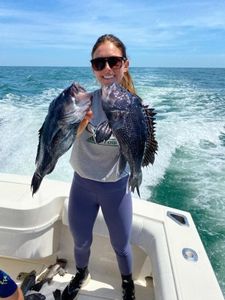 Two 16-inch fish caught during cruises and fishing trip in Forked River