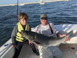 Striped bass caught on cruises and fishing trip in NJ