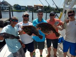 3 fish caught during cruises and fishing trip in NJ