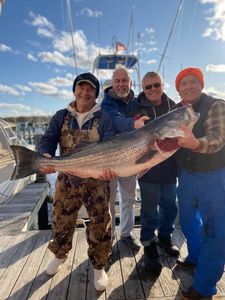 Striped bass caught in NJ
