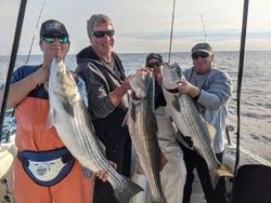Striped bass fishing charter success in Forked River NJ with multiple striped bass caught