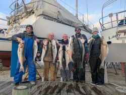 Successful striped bass fishing charter displaying catch of multiple stripers at Forked River NJ marina