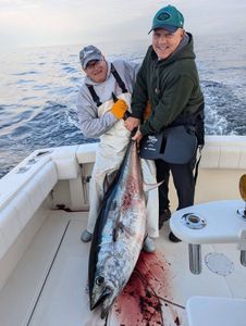 King Mackerel fish caught during cruises and fishing trip in NJ