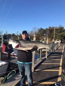 Striped bass caught in NJ