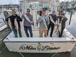 Four striped bass caught on a fishing trip in NJ