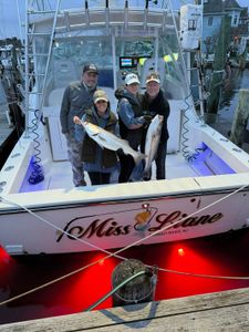 Striped bass caught during cruises and fishing excursion in Forked River