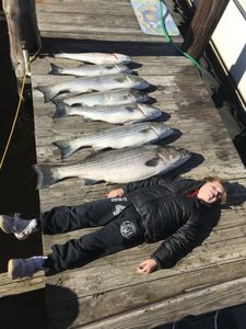 Four striped bass caught in NJ during cruises and fishing trips