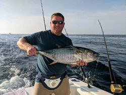 Yellowfin tuna fishing in Forked River