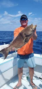 Grouper in Fort Pierce, FL