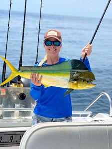 Finest Mahi Mahi Captured In Florida Waters